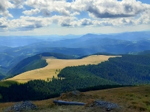 Arrmonia Green - cazare Bucovina (12)