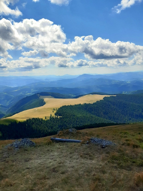 Arrmonia Green - accommodation in  Bucovina (Surrounding)