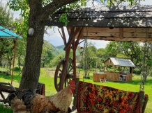Lodge Rural Retreat Sejour Casa Mountain - alloggio in  Apuseni, Tara Motilor (83)