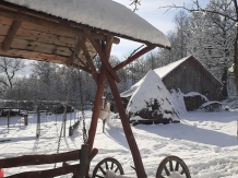 Lodge Rural Retreat Sejour Casa Mountain - alloggio in  Apuseni, Tara Motilor (114)