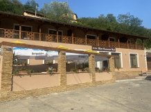 Motel Nicol - accommodation in  Banat (01)