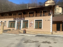 Motel Nicol - cazare Banat (12)