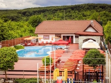 Pensiunea Iris - accommodation in  North Oltenia (04)