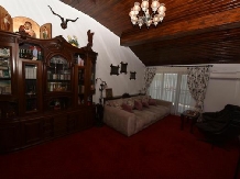 Casa Andrei - accommodation in  Danube Boilers and Gorge, Clisura Dunarii (19)