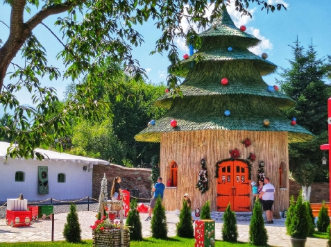 Forest A-Frame Guesthause - cazare Fagaras, Transfagarasan (Activitati si imprejurimi)