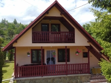 Casa de vacanta Moieciu - accommodation in  Rucar - Bran, Moeciu (15)