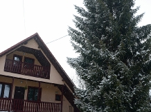Casa de vacanta Moieciu - accommodation in  Rucar - Bran, Moeciu (21)