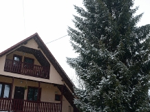 Casa de vacanta Moieciu - alloggio in  Rucar - Bran, Moeciu (21)