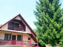 Casa de vacanta Moieciu - accommodation in  Rucar - Bran, Moeciu (55)