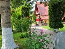 Casa de vacanta Moieciu - alloggio in  Rucar - Bran, Moeciu (78)