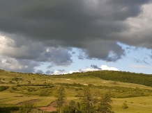 Casa cu Flori - cazare Transilvania (19)