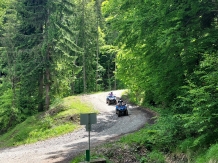 Valea Prahovei View - alloggio in  Valle di Prahova (49)