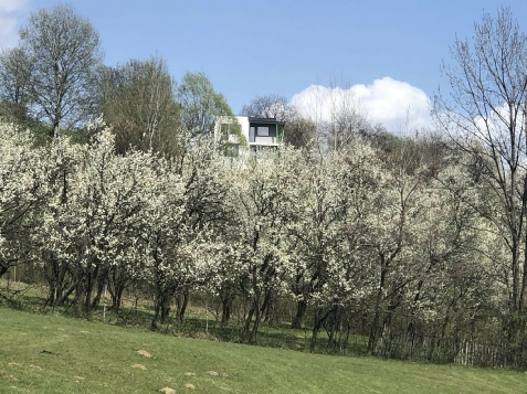 Vila Valea Prahovei View - alloggio in  Valle di Prahova (Attivit&agrave; e i dintorni)