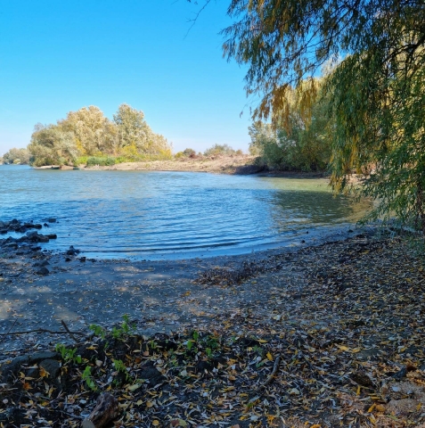 Pensiunea Talian - cazare Dobrogea (Activitati si imprejurimi)