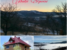 Cabana Bucuria Muntilor - accommodation in  Apuseni Mountains (03)