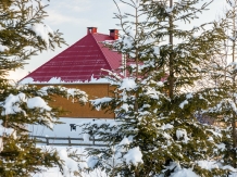 Cabana Bucuria Muntilor - accommodation in  Apuseni Mountains (20)