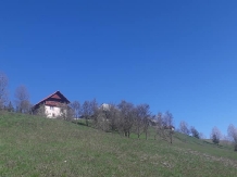 Cabana Runculee Albac - accommodation in  Apuseni Mountains, Motilor Country, Arieseni (13)
