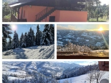 Cabana Runculee Albac - accommodation in  Apuseni Mountains, Motilor Country, Arieseni (17)