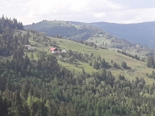 Cabana Runculee Albac - accommodation in  Apuseni Mountains, Motilor Country, Arieseni (22)