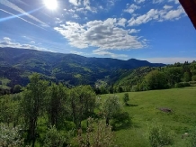 Cabana Runculee Albac - alloggio in  Apuseni, Tara Motilor, Arieseni (23)