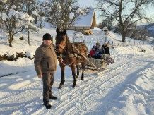 Cabana Runculee Albac - alloggio in  Apuseni, Tara Motilor, Arieseni (28)