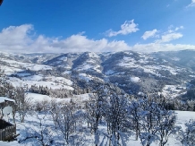 Cabana Runculee Albac - alloggio in  Apuseni, Tara Motilor, Arieseni (29)