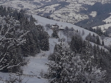 Cabana Runculee Albac - alloggio in  Apuseni, Tara Motilor, Arieseni (30)