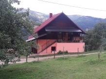 Cabana Runculee Albac - accommodation in  Apuseni Mountains, Motilor Country, Arieseni (35)