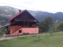 Cabana Runculee Albac - accommodation in  Apuseni Mountains, Motilor Country, Arieseni (36)