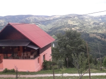 Cabana Runculee Albac - accommodation in  Apuseni Mountains, Motilor Country, Arieseni (41)