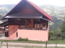 Cabana Runculee Albac - accommodation in  Apuseni Mountains, Motilor Country, Arieseni (43)