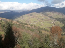Cabana Runculee Albac - accommodation in  Apuseni Mountains, Motilor Country, Arieseni (52)