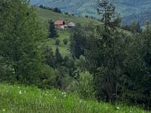 Cabana Runculee Albac - accommodation in  Apuseni Mountains, Motilor Country, Arieseni (67)