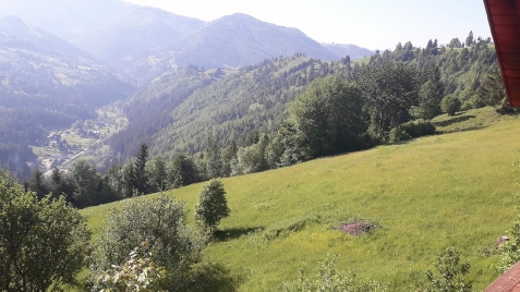 Cabana Runculee Albac - alloggio in  Apuseni, Tara Motilor, Arieseni (Attivit&agrave; e i dintorni)