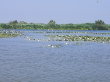 Gorgova Delta Village - cazare Delta Dunarii (24)