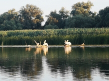 Gorgova Delta Village - accommodation in  Danube Delta (25)