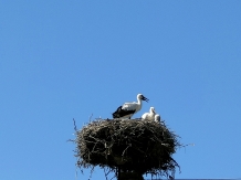 Gorgova Delta Village - cazare Delta Dunarii (27)