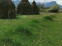 Pensiunea Bud - alloggio in  Tara Maramuresului (09)