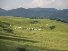 Pensiunea Bud - cazare Tara Maramuresului (10)