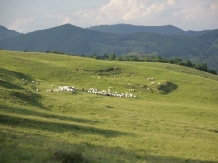 Pensiunea Bud - cazare Tara Maramuresului (10)