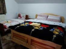 Pensiunea La Ovidiu - accommodation in  Gura Humorului, Voronet, Bucovina (20)