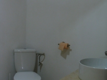 Resedinta Nitoiu - accommodation in  Muscelului Country (39)