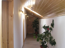 Resedinta Nitoiu - accommodation in  Muscelului Country (41)