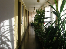 Resedinta Nitoiu - accommodation in  Muscelului Country (45)