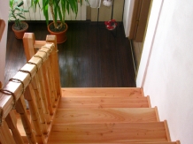 Resedinta Nitoiu - accommodation in  Muscelului Country (54)
