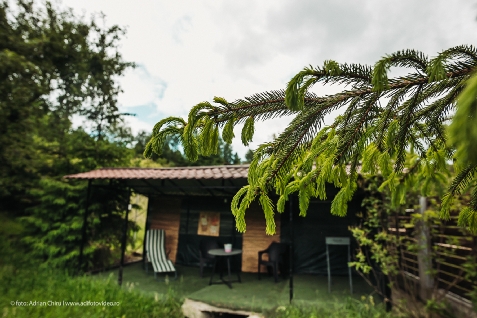 Ethereal Chalet - accommodation in Muntenia (Surrounding) Ethereal Chalet - accommodation in Muntenia (Surrounding)