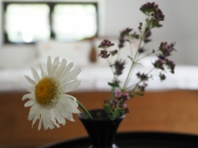 Casa Catrinei - accommodation in  Transylvania (25)