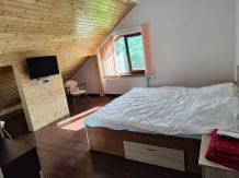 Casa Irina - accommodation in  Olt Valley, Horezu (07)