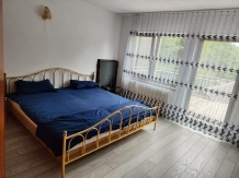 Casa Irina - accommodation in  Olt Valley, Horezu (10)