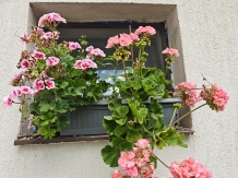 Casa Irina - accommodation in  Olt Valley, Horezu (33)